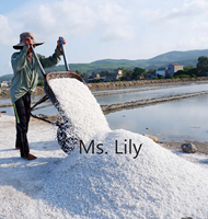 Natural Refined White Powder Table Salt 100% 99% Purity for Food Processing Bulk Supply | Ms Lily VIET DELTA 12 Months Shelf