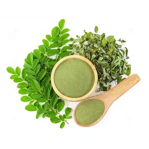Top selling from Vietnam |Moringa Boost - Green Moringa powder