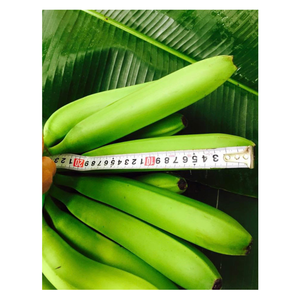 Vietnam Fabrication Frais Vert Cavendish Bananes en 13.5kgs Carton Boîte pour Supermarché Exportation Alimentaire Fruits Légumes - Product Image 3