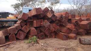 แผ่นเมลามีนไม้สนธรรมชาติซูนิสาคาร์นก้า ดีไซน์ยุโรป เป็นมิตรกับสิ่งแวดล้อม รับประกัน 1 ปี - ขายดีที่สุดในไทย ขายส่ง - Product Image 3