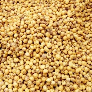 Noix de tigre à prix avantageux à vendre/Noix de tigre séchées brutes en vrac pour l'exportation - Product Image 5