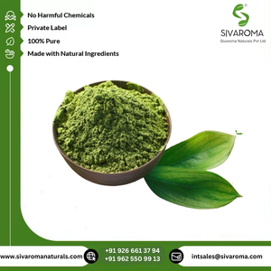 Poudre d'extrait sec de Tulsi sauvage de qualité supérieure à 100 %, vente chaude, service de marque privée OEM disponible - Product Image 4