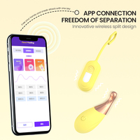 Weiblicher Vibrator Klitoris G-Punkt Sexshop-Anbieter Persönlicher Massager Erwachsenen-Klitorisvibrator Nippelstimulator Fabrik Großhandel
