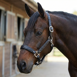 Selle anglaise de luxe en cuir noir matelassée avec embreloque rembourrée, accents en cristal et quincaillerie argentée réglable – Élégante - Product Image 2