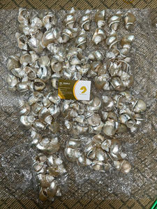 Seashell napkin <b>ring</b> Best Selling 2025 Tableware Natural Polished <b>Conch</b> Shell <b>Rings</b>, Crystal Napkin <b>Rings</b> with Luxury Design - Product Image 5