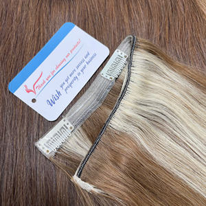 Clip de pelo vietnamita Premium en venta de fábrica Clip en extensiones para belleza sin esfuerzo Clip en extensiones de cabello humano - Product Image 1