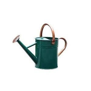 Yourjoy บัวรดน้ำเหล็กชุบสังกะสี, บัวรดน้ำพร้อมสำเนียงทองแดงที่ถอดออกได้ Rosette-diffuser หนึ่งแกลลอน - Product Image 4