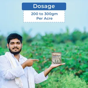 Acadian Goldstar Biostimulant Food Grade Ascophyllum Nodosum <b>Seaweed</b> Extract Powder Enhances Abiotic Stress Plants Fucoxanthin - Product Image 5