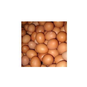 ส่งตรงจากไข่ไก่สีน้ำตาลออแกนิกสำหรับใช้เป็นอาหารสดและได้รับการรับรองจากฟาร์ม - Product Image 3