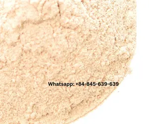 Bulk Shiitake Mushroom Powder: Solução de alta qualidade e econômica para fabricantes de alimentos