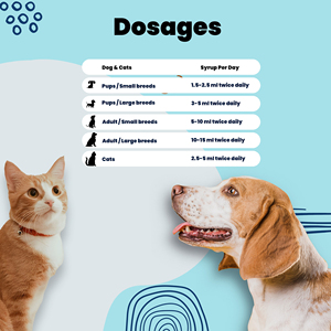 Aniamor น้ำเชื่อมโออีเอ็มสำหรับดูแลสุขภาพสัตว์เลี้ยงและอาหารเสริมกระดูกและข้อต่ออาหารเสริมโภชนาการสัตว์เลี้ยง - Product Image 5