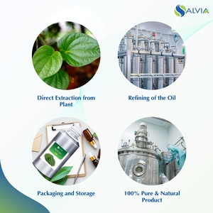 Vente en gros en vrac Huile essentielle de feuille de bétel 100% pure et naturelle Emballage personnalisé à bas prix - Product Image 4