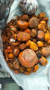 Cow and Ox Dried Gallstones of Cattle (Bezoars) - Product Image 6