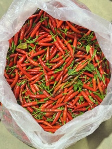 Saveur chaude de piment rouge frais de ferme de piment d'oeil d'oiseau du Vietnam pour la cuisson et la transformation des aliments - Product Image 6