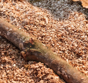 Aserrín para Cultivo de Hongos (Esterilizado) - Product Image 4