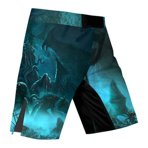 Conjunto de Rashguard con Estampado Personalizado, Ligero y Elástico, Ropa Deportiva para Gimnasio, 100% Poliéster y Spandex, Resistente, para BJJ, Cage Fight, Kickboxing, MMA - Product Image 3