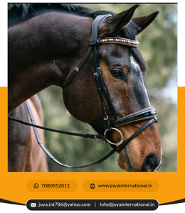 ชุดเดรสสายรัดสำหรับบังเหียนแบบพกพา Geneva สีดำมีท่อสีทองโลหะ - Product Image 6