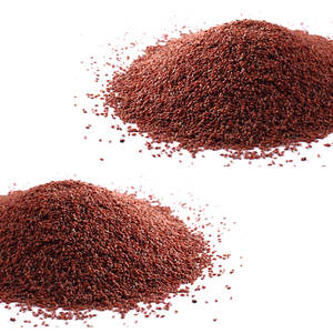 Cress | Goût poivré doux | Aimé dans les salades et les sandwichs - Product Image 1