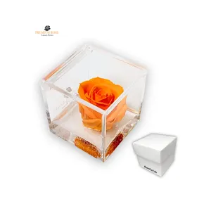 Premium Quality Rose 5 cm Preserved Orange Perfumed Rose Cube with Real Eternal Rose Gift Idea for Valentine's Day