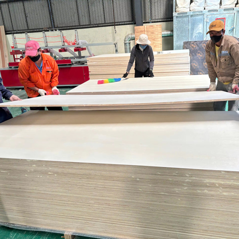 AA Poplar Plywood Furniture E0 Standard First-Class Construction Low Formaldehyde Emission for Kitchen Shuttering Direct
