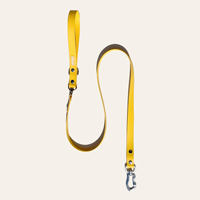 SUMMA Laisse pour chien moderne et simple 2M, avec rivets décoratifs, design robuste, en TPU écologique, imperméable et lavable, pour l'extérieur (KR)