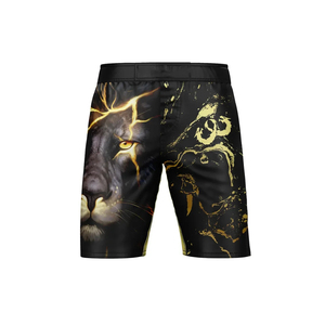 Shorts de combat MMA unisexes, légers, durables, à séchage rapide, respirants, extensibles dans 4 directions, pour l'entraînement de boxe, la gym, le fitness, le kickboxing, 180g - Product Image 1
