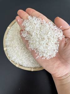 ข้าวคาโมลิโน อียิปตัน ซุปเปอร์ มีเดียม คาลโรส คุณภาพสูง ข้าวแห้งจากเวียดนาม - Product Image 5