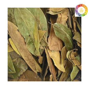 Feuilles de corossol séchées d'origine du Vietnam-Feuilles de Graviola séchées au soleil traditionnelles remplies d'avantages à base de plantes - Product Image 6