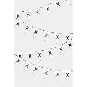 Korean Triangular Flag <b>Banners</b> for Party Decorations - Product Image 1