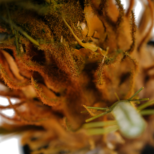 Cây cảnh giả <span class=keywords><strong>Cycad</strong></span> bán buôn, trang trí trong nhà/ngoài trời, chất liệu nhựa, có chậu, đồ trang trí sân vườn nhân tạo, nguồn gốc từ nhà máy - Product Image 5