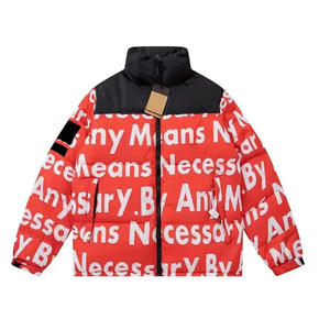 Vente en gros de haute qualité hommes femmes décontracté Streetwear doudoune hiver chaud rembourré manteau col montant fermeture éclair avant - Product Image 3