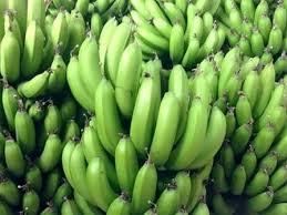 Fournisseur de bananes Cavendish fraîches de qualité supérieure au Vietnam - Product Image 5