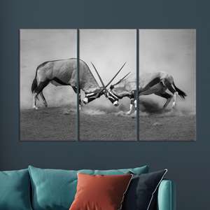 Impresión en lienzo monocromática de la lucha de antílopes orixes de la vida silvestre africana - Obra de arte impresa en lienzo, JUEGO DE 3 LIEÑOS - Product Image 1