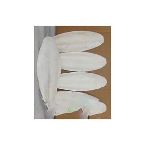กระดูกปลาหมึกที่ปลอดภัยและเป็นธรรมชาติสำหรับนกสัตว์เลี้ยง - Product Image 1