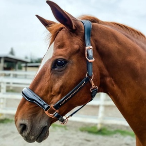 Cabestro de Cuero Genuino para Caballo con Herrajes de Latón, Accesorios Ecuestres, Equipo de Equitación - Product Image 1