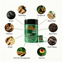 Gummies OEM de Saussurea lactone en gros pour hommes d'élite – Formule énergétique 10-en-1 – Usine de suppléments personnalisés sous marque privée