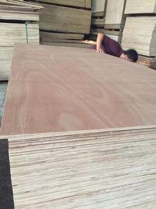 Láminas de Madera Contrachapada de Abedul 100% Personalizadas, de Alta Calidad, Comerciales, E0, Libres de Formaldehído, Modernas, para Muebles, Gabinetes, Talleres y Decoración - Product Image 2