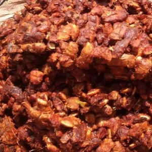 Tamarindo - Product Image 3