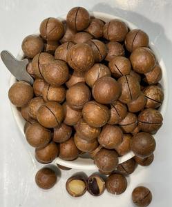 Noix de Macadamia Fraîches, Séchées et Blanchies de Qualité Supérieure (Grade A) en Gros, 500g, Origine France - Product Image 2