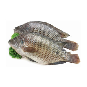 Poisson Tilapia Prix 350g-550g Poisson Vivant Tilapia Congelé Tilapia Noir Éviscéré et Écaillé avec Produit Professionnel - Product Image 4