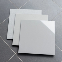 OSIS PLUS 600x600mm Carreaux adhésifs modernes en porcelaine brillante, isolants thermiquement, garantie 5 ans, utilisation extérieure, appartements, hôtels, centres commerciaux