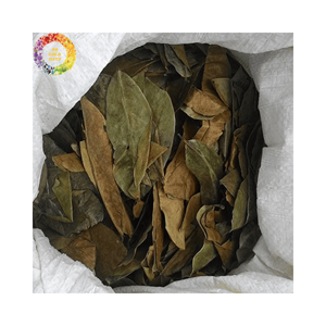 ผลิตภัณฑ์ชาสมุนไพรธรรมชาติสารสกัดจากใบทุเรียนเทศแห้ง - Product Image 3