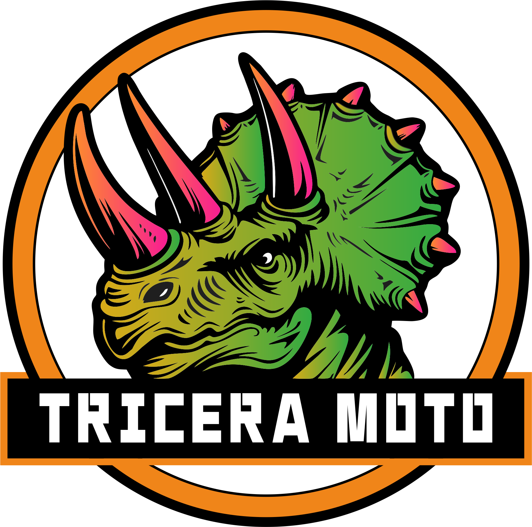 Hebei Tricera International Trade Co., Ltd. logo