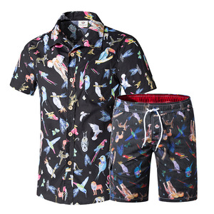 Conjunto de Camisa y Pantalones Cortos Estampados para Hombre, Secado Rápido, Ropa Casual de Verano, Conjuntos Cortos en Venta - Product Image 2
