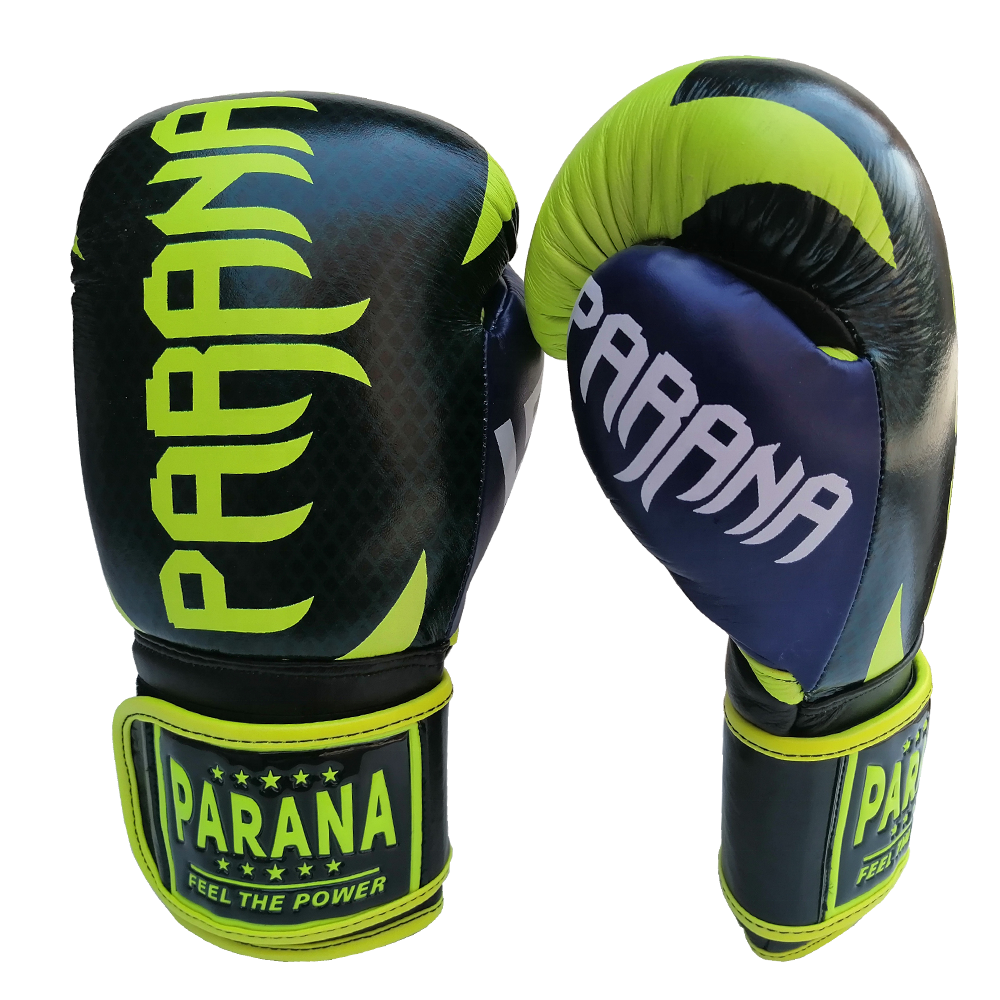 PARANA-HAMMER-PRO-BOXING-