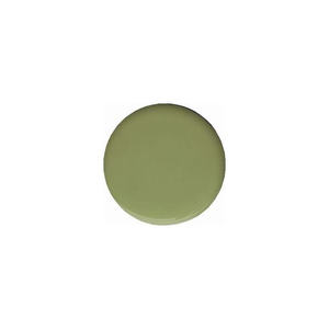 CE304 Presto Gel Color EX Grayish Leaf High Quality Designer UV <b>Nail</b> Polish Solid DIY Free Available Bottle Packaging 1kg - Product Image 1