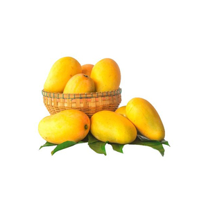 Mangue Badami biologique la plus vendue de délicieux fruits frais à saveur sucrée à prix compétitif - Product Image 4