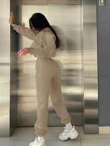 Conjunto Casual de Sudadera y Pantalones de Manga Larga con Cuello Redondo, Ligero, Talla Grande, para Mujer, Unisex, Ropa de Calle, Invierno - Product Image 4