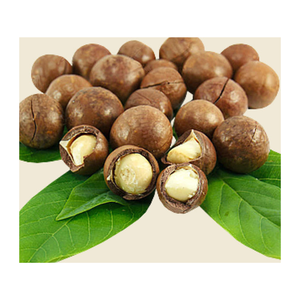 ถั่วแมคคาเดเมียพร้อมเปลือกถั่วแมคคาเดเมียปอกเปลือกด้วยมือ - Product Image 1