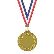 Elegant Metal Medals for Sports Achievement Awards Team Players Coaches School College League Event - Product Image 2